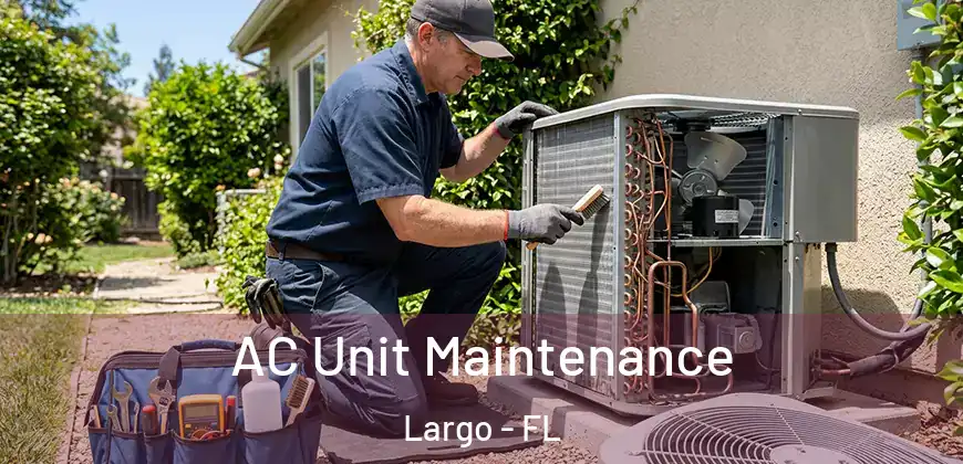  AC Unit Maintenance Largo - FL